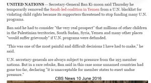 smirking chimp on saudiscumstan