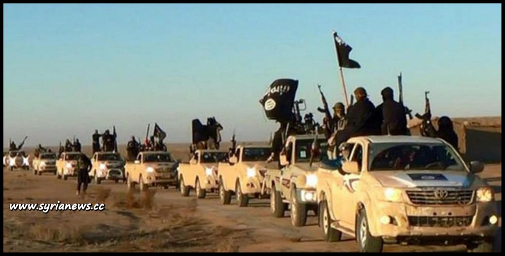 image-ISIS parade with their Toyota pick ups across the Syrian Iraqi deserts