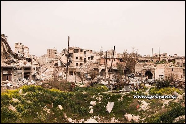 image-Aleppo, Syria - nature had enough time to reclaim its due -This shows how long those people have been enduring this war