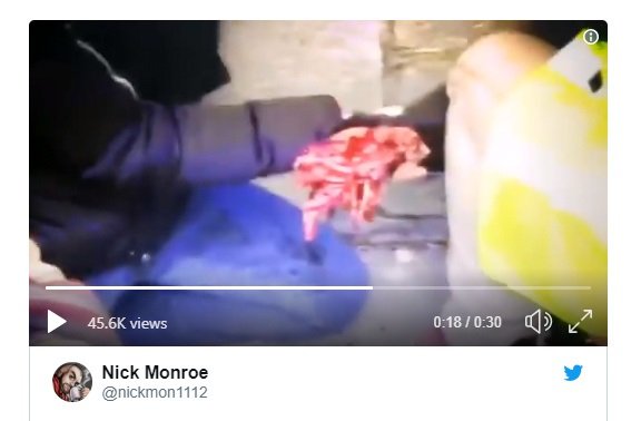 nato takfiri macron's recent work. remains of hand