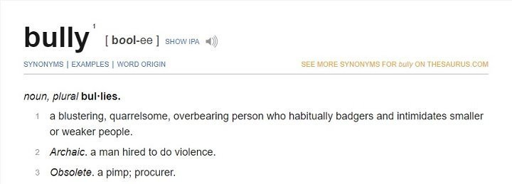 Bully - Definition - Plural - Bullies - Noun - Dictionary