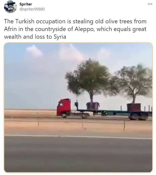 Spriter on Twitter: Erdogan forces stealing old olive trees from Syrian Afrin