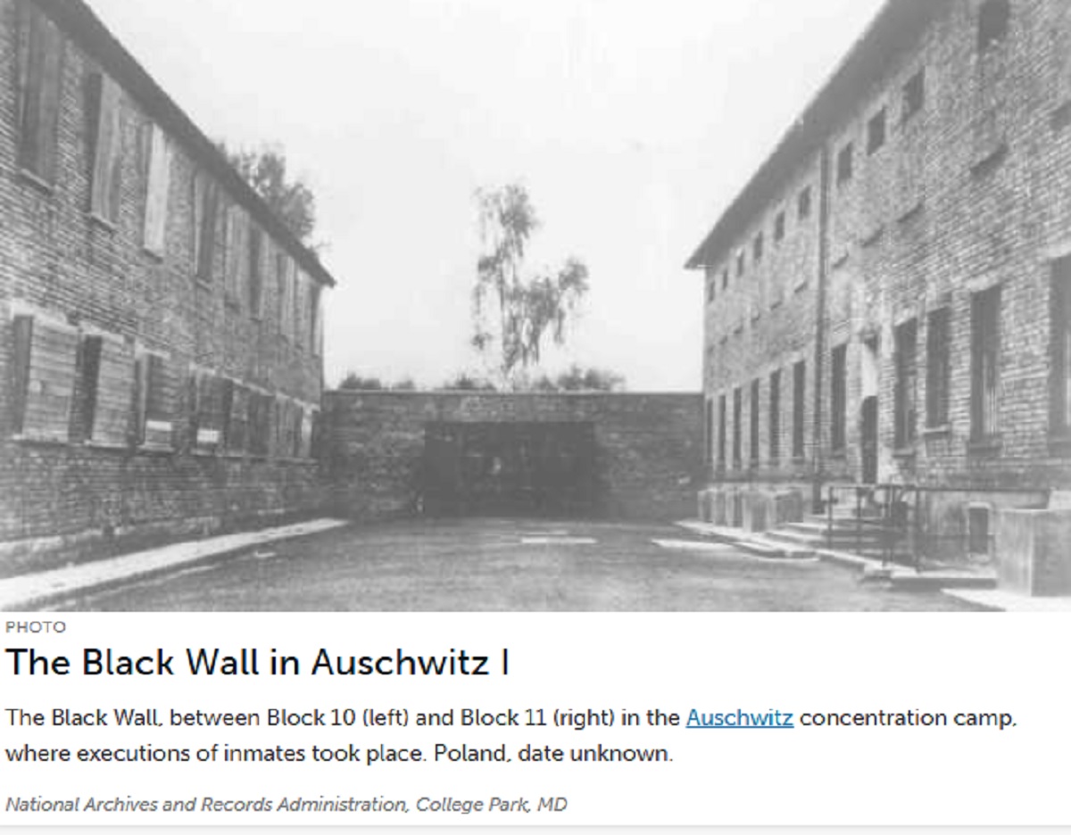 Concentration Camps in Gaza Courtesy of Israel, CIA & NYC Cab Driver