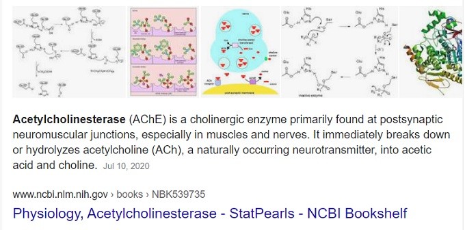 acetylcholinesterase AChE