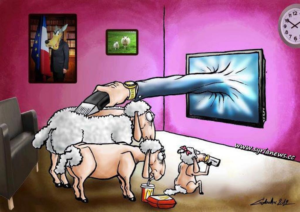 Sheeple Family