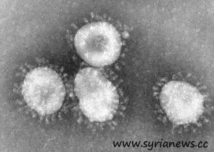 Coronavirus (Source: phil.cdc.gov/)