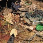 Damascus Research Center Bus Attack - Syria