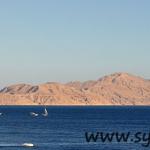 Tiran