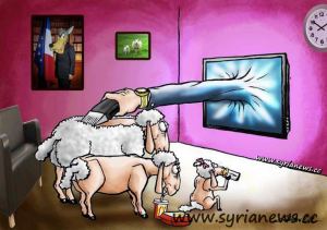 sheeple family