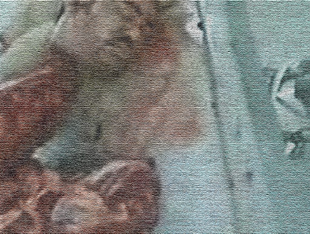 image-Human Butchery Run by Syrian Opposition - Organ Trafficking