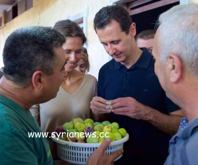 regime-change