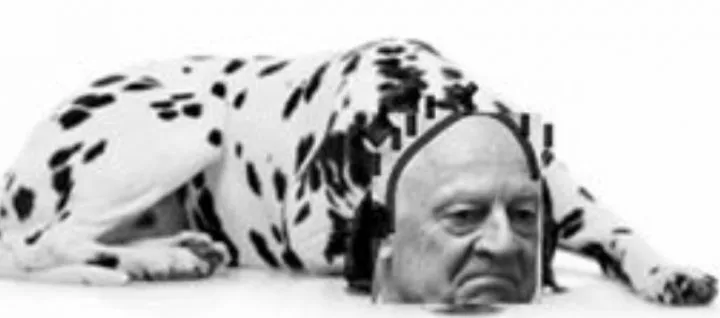 dalmation de mistura