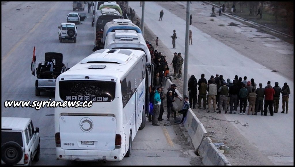 image-SAA Evicts Hundreds of Ahrar Cham Terrorists from Harasta to Idlib
