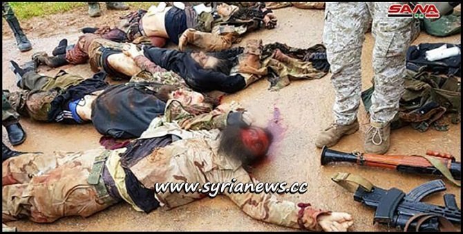 SAA Eliminates Turkey-Sponsored Terrorists in Northern Hama