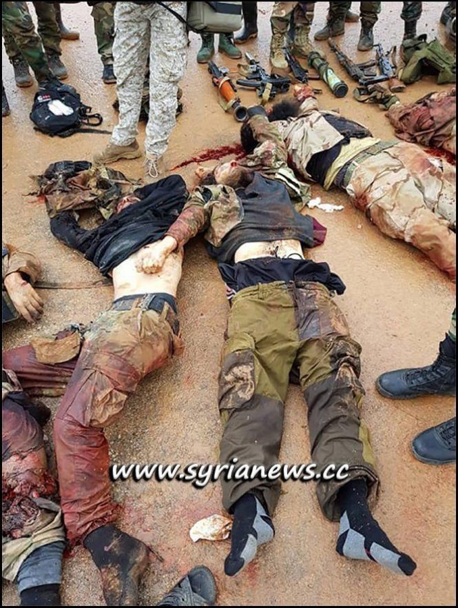 SAA Kill Erdogan Terrorists in Northern Hama
