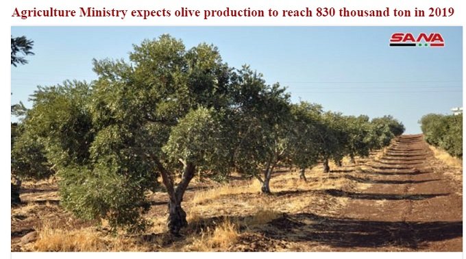 olive economy sanctions syria
