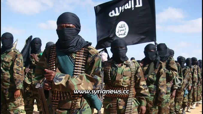 ISIS - Daesh Terrorists- America's Heroes