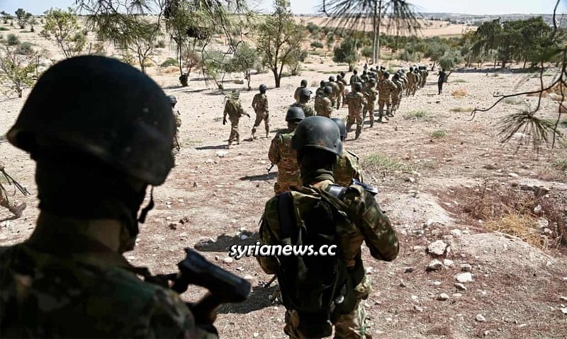 Syrian Arab Army - Hasakah - Idlib - Turkey - Erdogan - Trump - Putin - Russia - USA