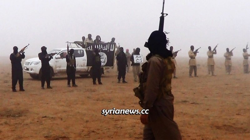 ISIS re-emerging in the Syrian Plains - Desert
