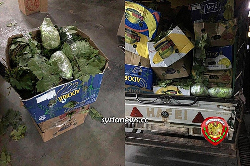 Syrian law enforcement seize large quantities of Hashish narcotics in Homs