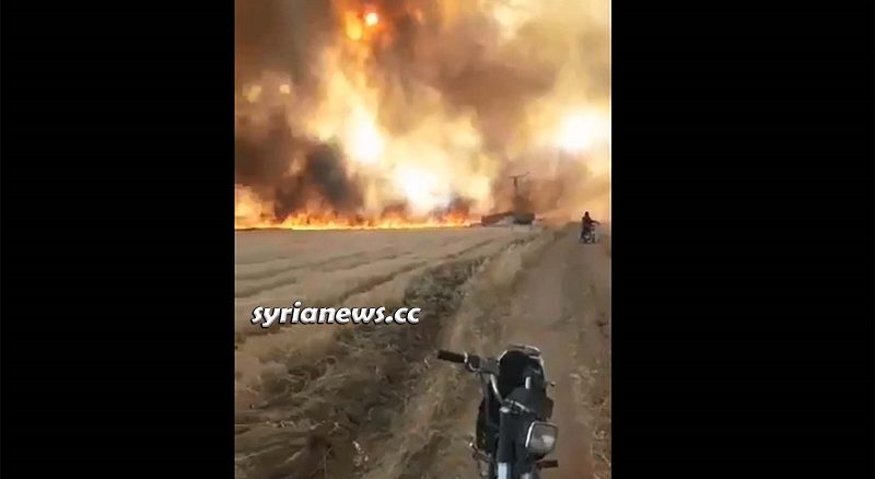 NATO terrorists burning Syrian wheat crops in Ras Al Ayn - Hasakah