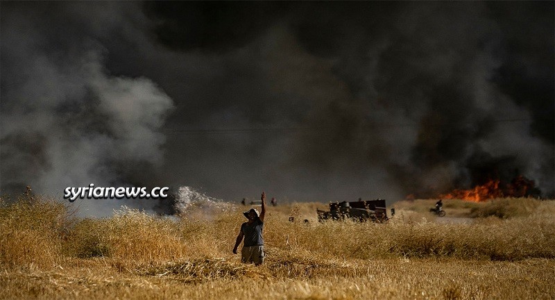 USA and Turkey and their terrorists burning Syria wheat fields