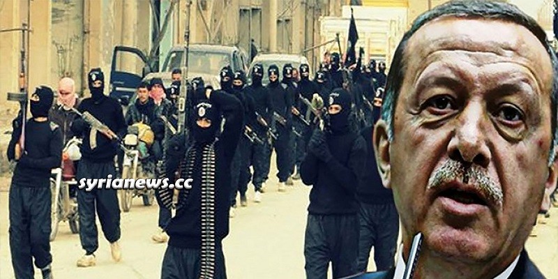 Erdogan mercenary terrorists - Syria - Libya - Yemen - Qatar