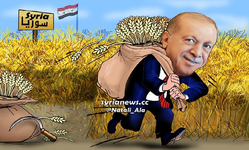 Erdogan stealing Syrian Wheat - Burning Syrian Wheat Fields