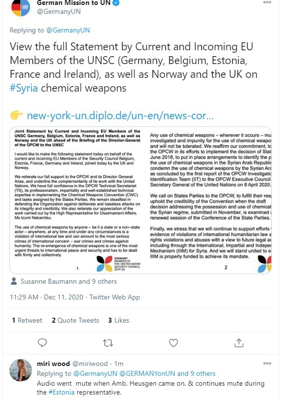 EU members of UNSC Germany, Belgium, Estonia, France and Ireland support of the OPCW