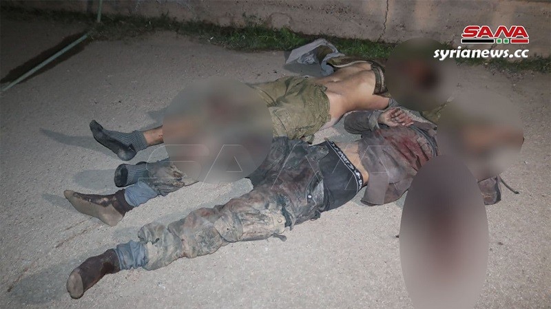 SAA eliminates terrorist group south of Deir Ezzor