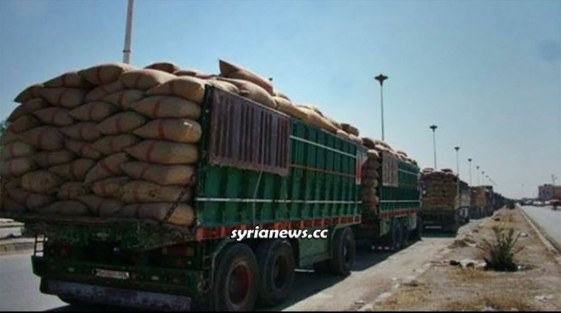 Trump forces smuggle stolen Syrian grains to Iraq