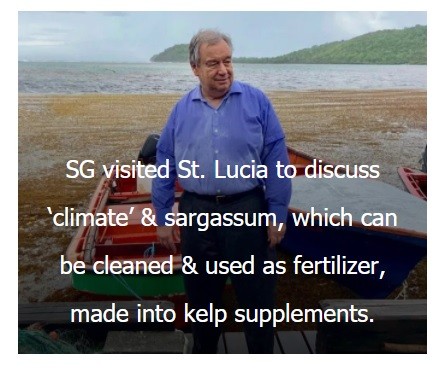 Colonialist Guterres supports OPCW lies, yells at St Lucians