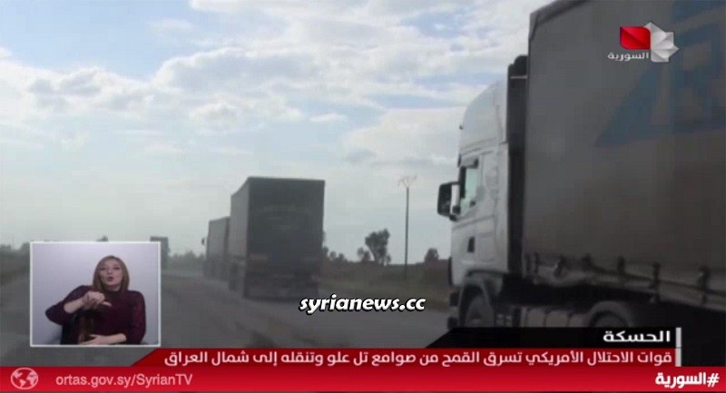 Biden forces stealing Syrian wheat from Hasakah into Iraq