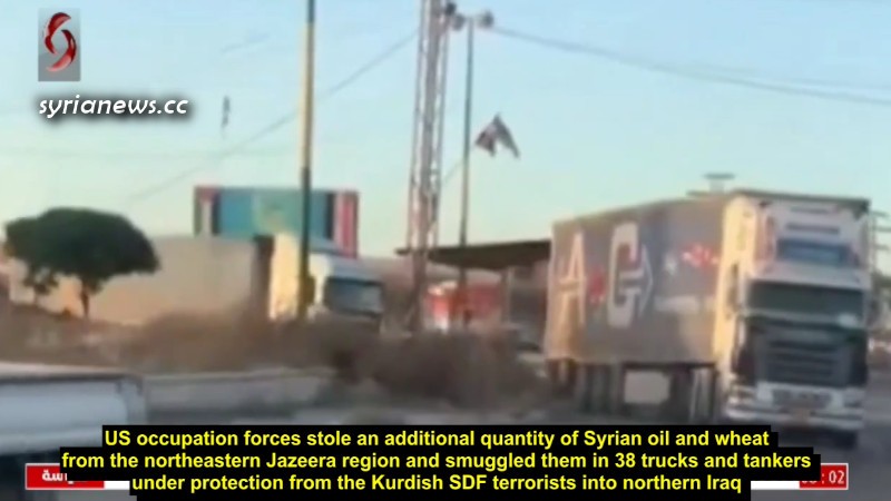US Biden forces and Kuridsh SDF terrorists continue stealing Syrian wheat and oil