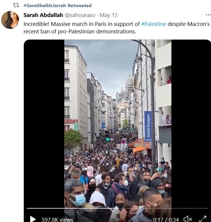 French demonstrators against Gaza bombings.