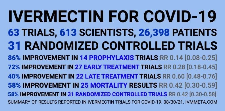 A treasure trove of ivermectin studies has been found.