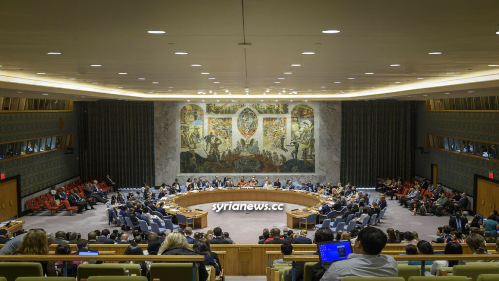 UNSC United Nations Security Council - Syria
