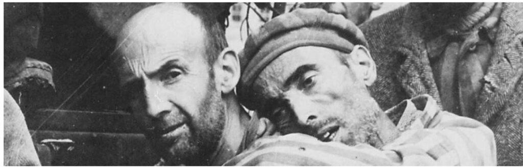 UN junta outraged over the plight of the Nazimaidan Ukraine are of the same ratline ilk who hated the Soviets who liberated .Auschwitz.