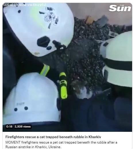 Somewhere in Ukraine, a cat was stuck in some soil, for a subsequent rescue scene.