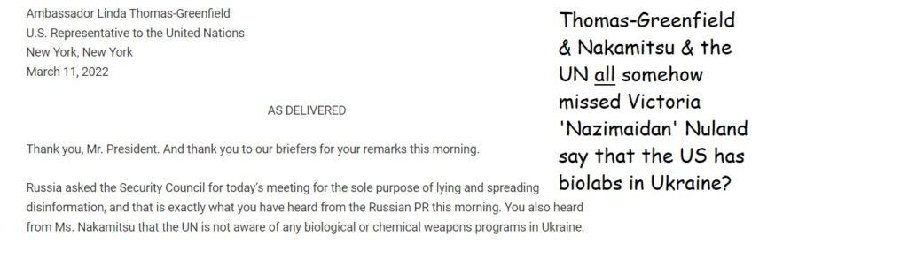 NATO klansmen of the UN lied about Russia, lied about Ukraine.