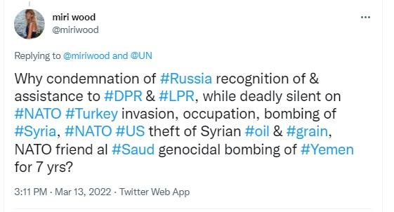 UN doubles standards for NATO & non-NATO countries, & support of NATO-friendly countries.