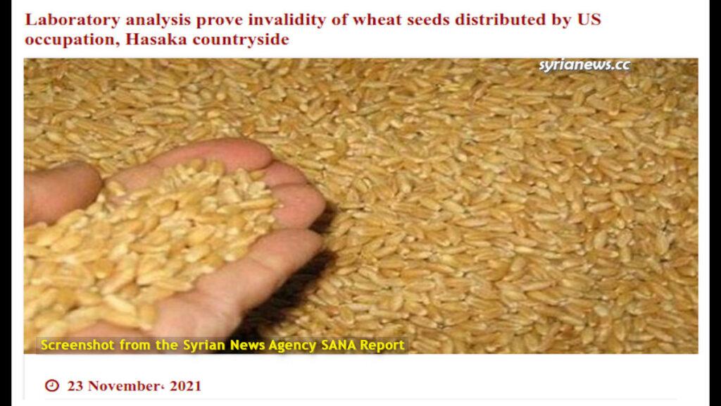 wheat seeds provided by USA to Syrian farmers contained grain stomata unsuitable for cultivation and harmful to local agricultural production