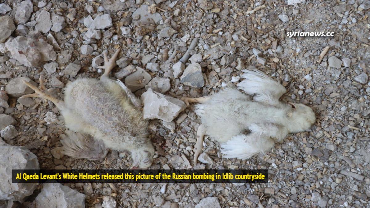 Al Qaeda Levant's White Helmets released this picture of the Russian bombing