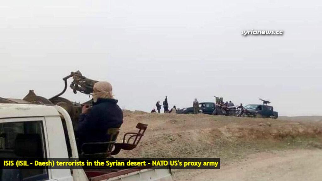 ISIS ISIL Daesh terrorists in Syria NATO US proxy army